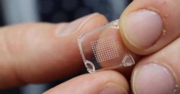 La foto mostra PittCoVacc, il cerotto trasndermico tramite cui è possibile somministrare il vaccino sperimentale contro il CoV2 studiato da Andrea Gambotto, ricercatore dell'University of Pittsburgh School of Medicine.